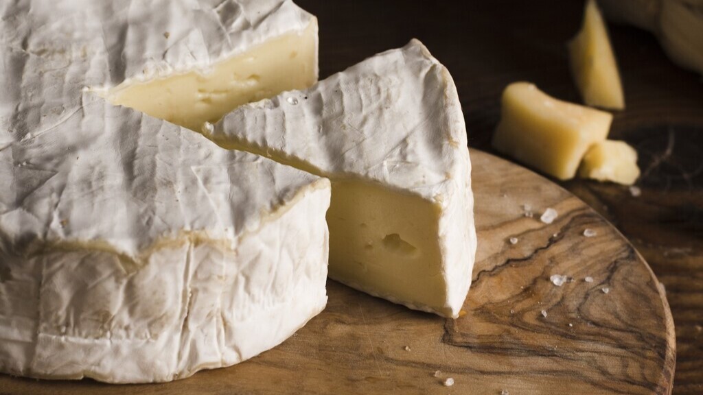 Municípios da região integram as novas Rotas do Queijo de SP