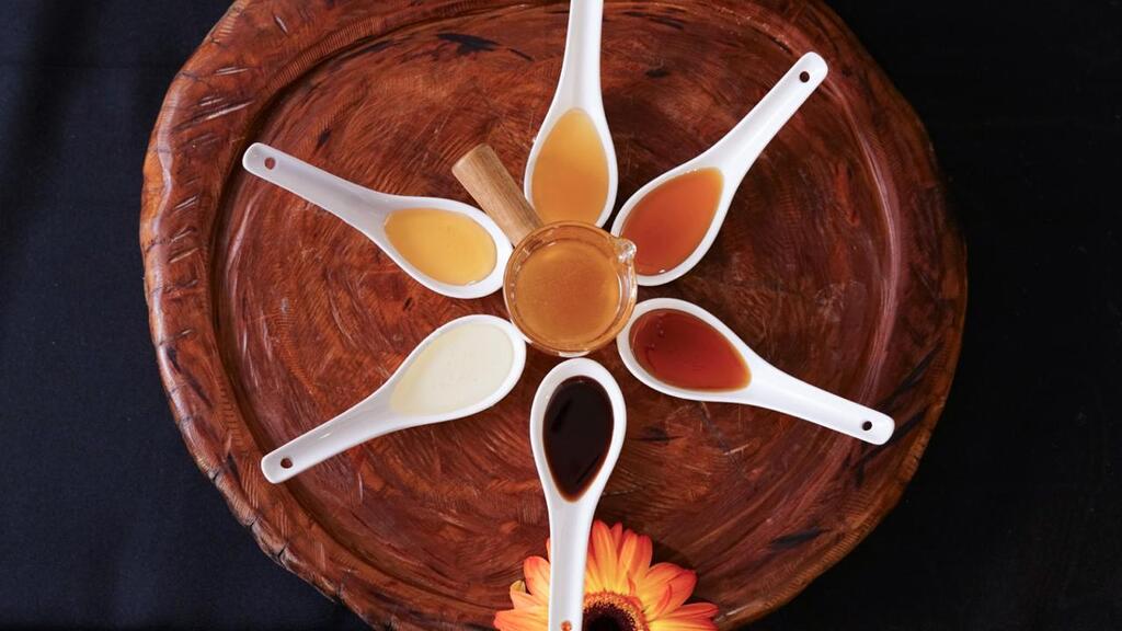 Polinização que vira proteína: projeto na Serra da Paulista integra mel, peixes e gado