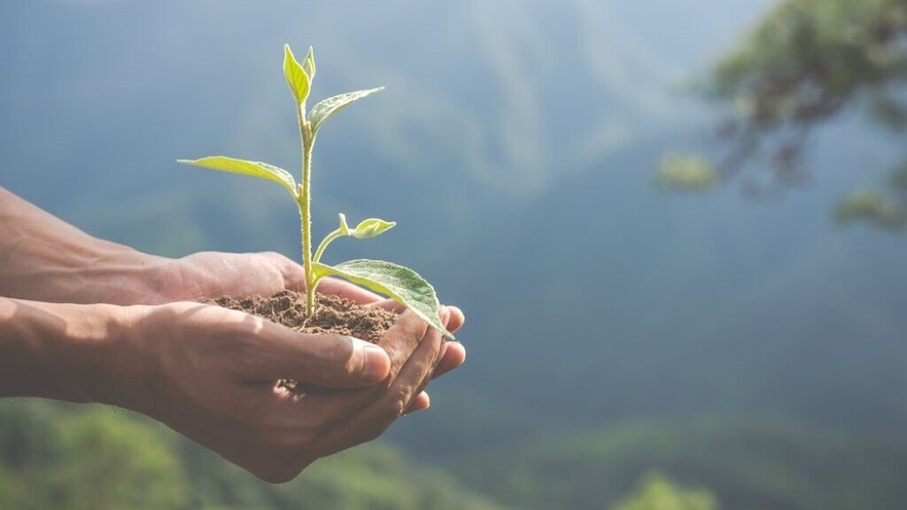 Ranking VerdeAzul 2024–2025: confira a posição dos municípios da região